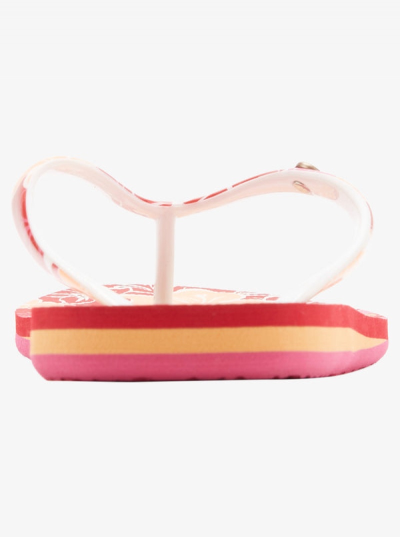 Roxy Portofino Flip Flops | 75139-ADHJ