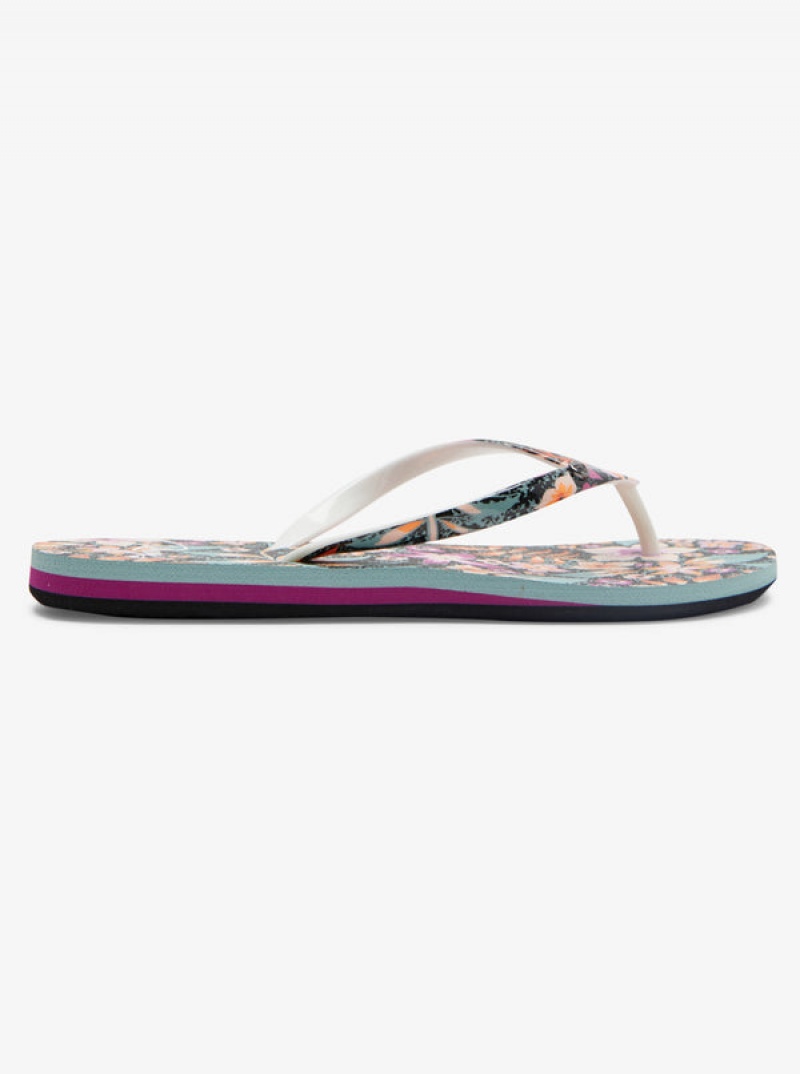 Roxy Portofino Flip Flops | 91460-IBSV