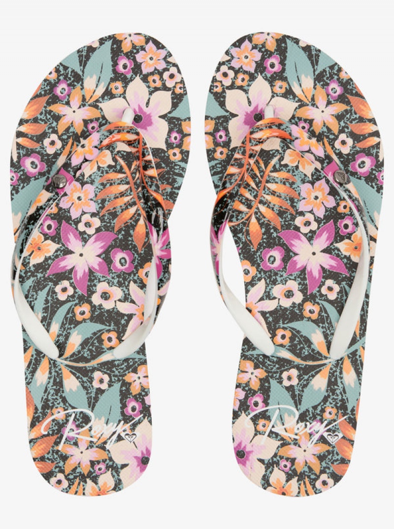 Roxy Portofino Flip Flops | 91460-IBSV