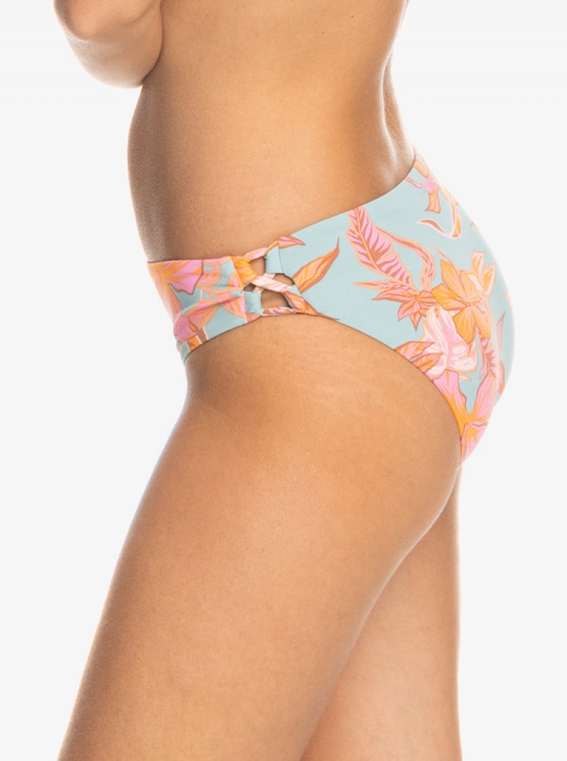 Roxy Printed Beach Classics Hipster Bikini Bottoms | 61279-UGDF