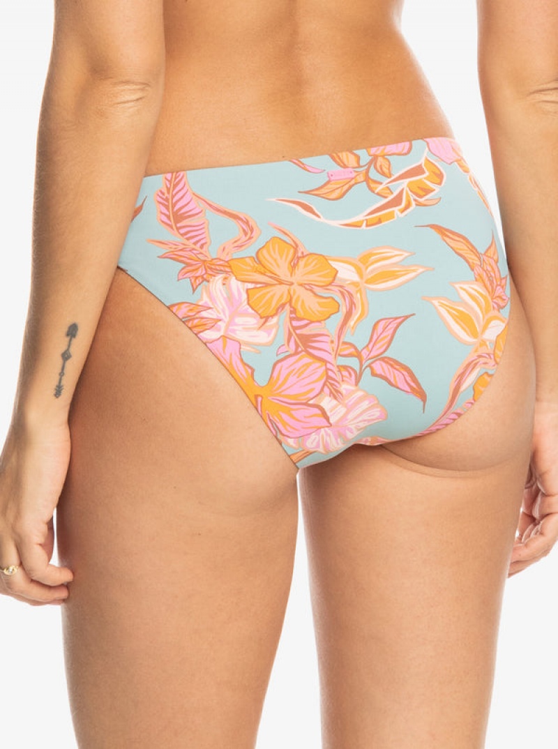 Roxy Printed Beach Classics Hipster Bikini Bottoms | 61279-UGDF