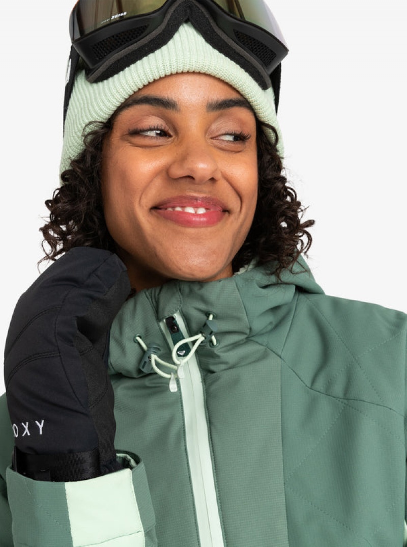 Roxy Radiant Lines Overhead Technical Snowboard Jackets | 91647-INYS