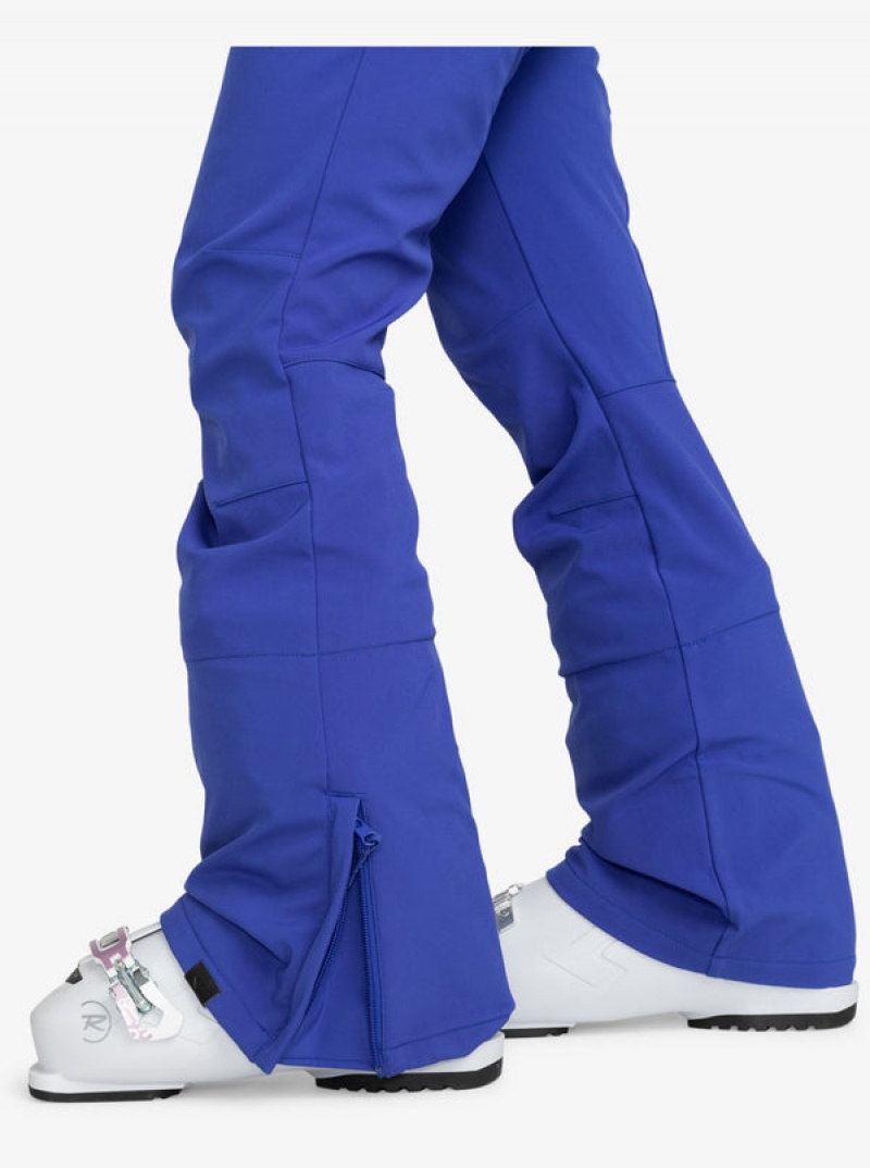 Roxy Rising High Technical Snowboard Pants | 32405-FUTB