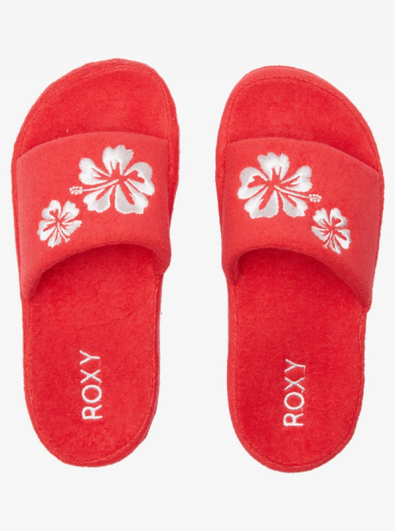 Roxy Slippy Sandals | 95420-HGLU