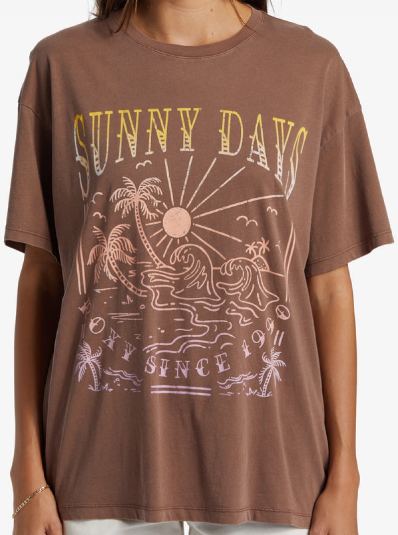 Roxy Sunny Days Oversized Boyfriend T-shirts | 79254-WCGF