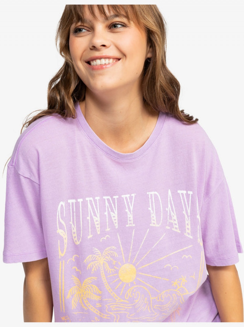 Roxy Sunny Days Oversized T-shirts | 92135-OKLC