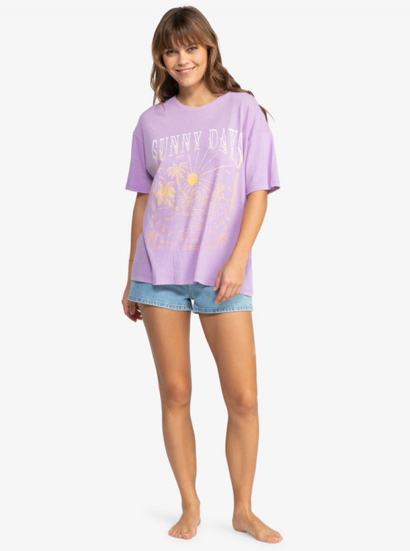 Roxy Sunny Days Oversized T-shirts | 92135-OKLC