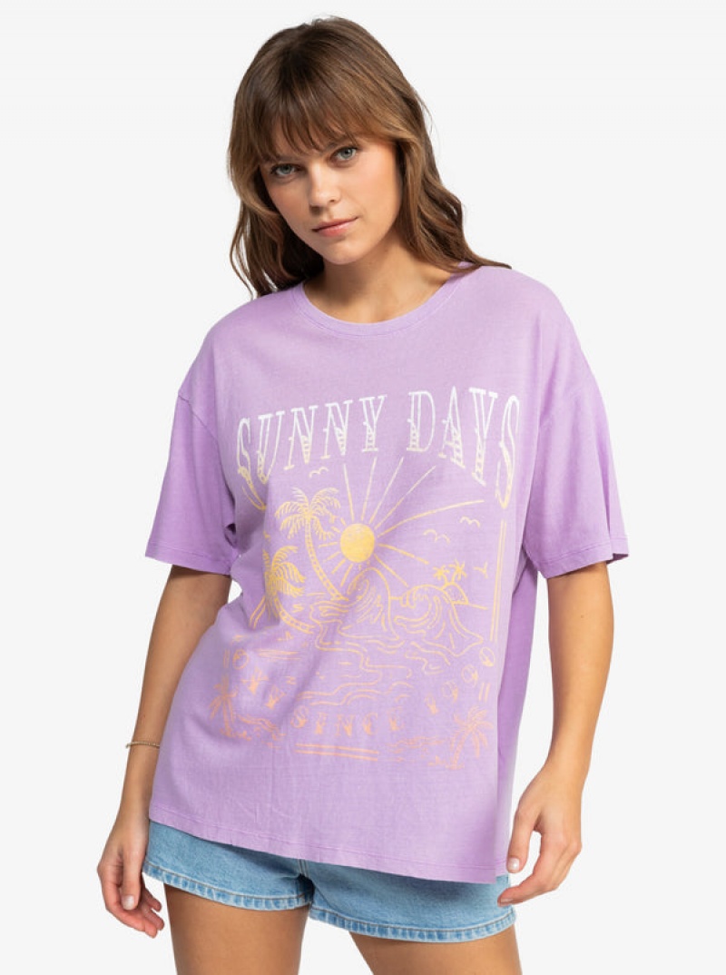 Roxy Sunny Days Oversized T-shirts | 92135-OKLC