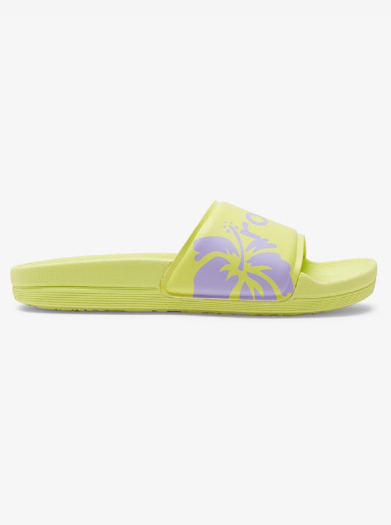 Roxy Surf.Kind.Kate. Slippy Sandals | 27580-LAYD