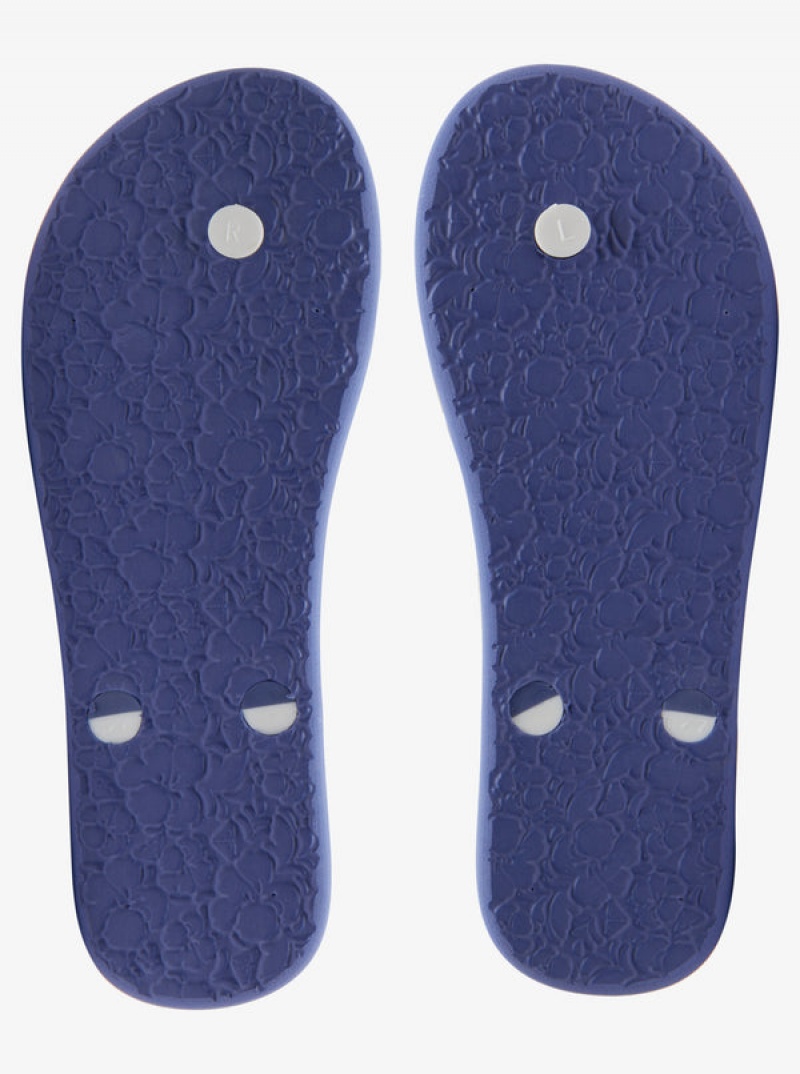 Roxy Tahiti Flip Flops | 79512-TMSV