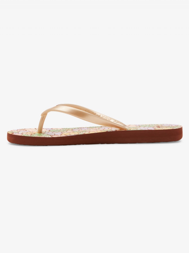 Roxy Tahiti Flip Flops | 93506-IDBR