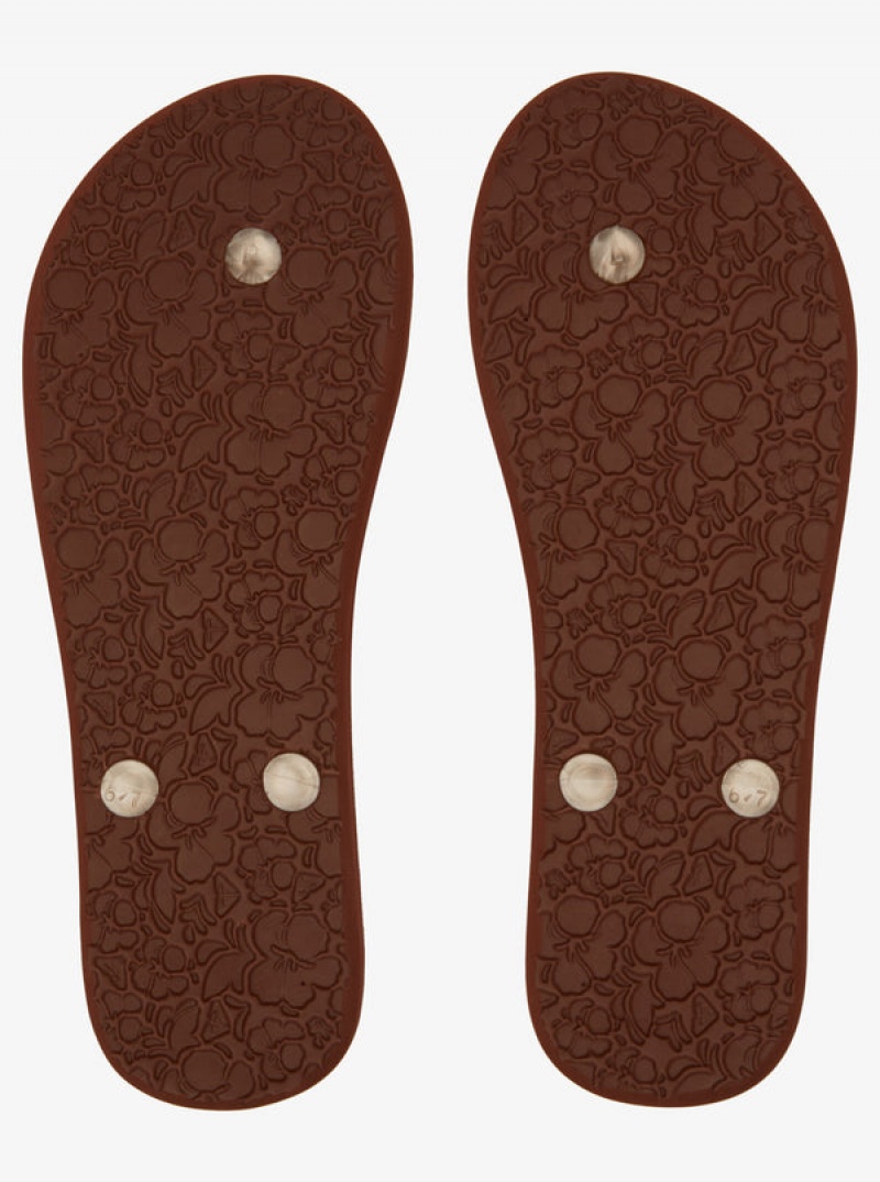 Roxy Tahiti Flip Flops | 93506-IDBR