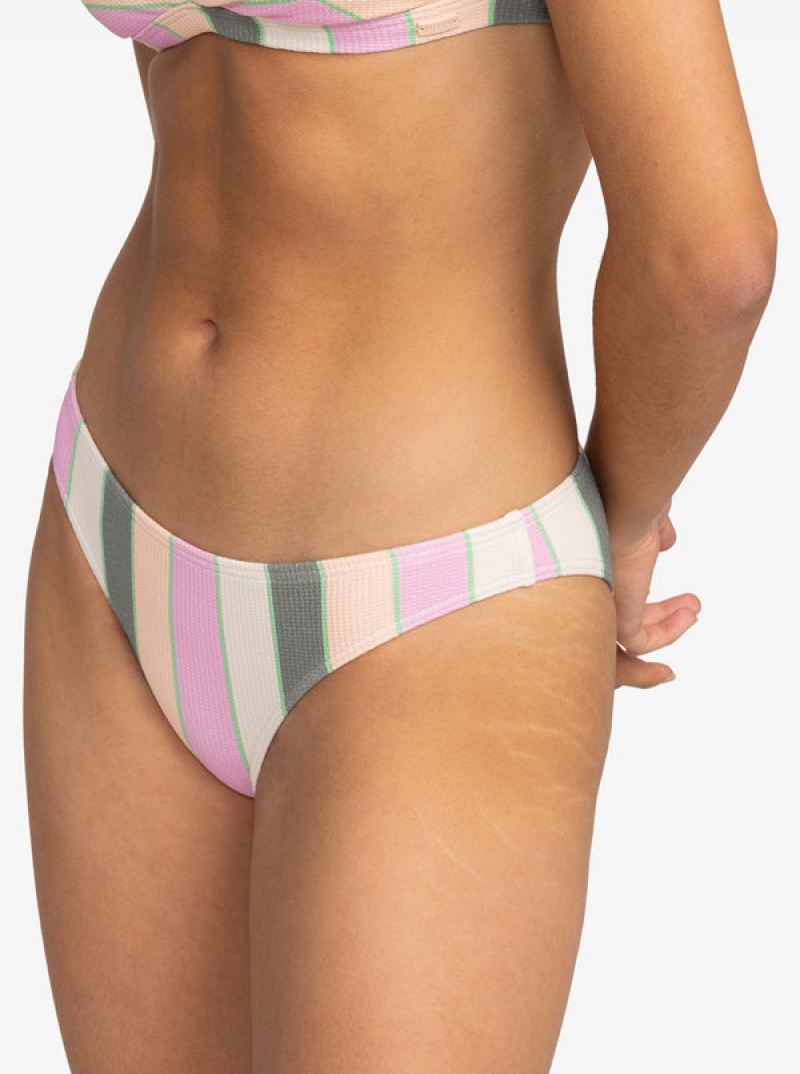 Roxy Vista Stripe Medium Bikini Bottoms | 89143-PIBF