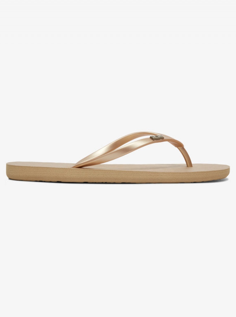 Roxy Viva Flip Flops | 07195-OEPJ