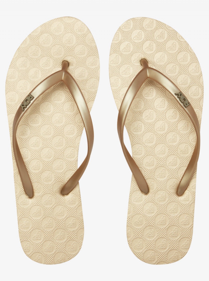 Roxy Viva Flip Flops | 07195-OEPJ