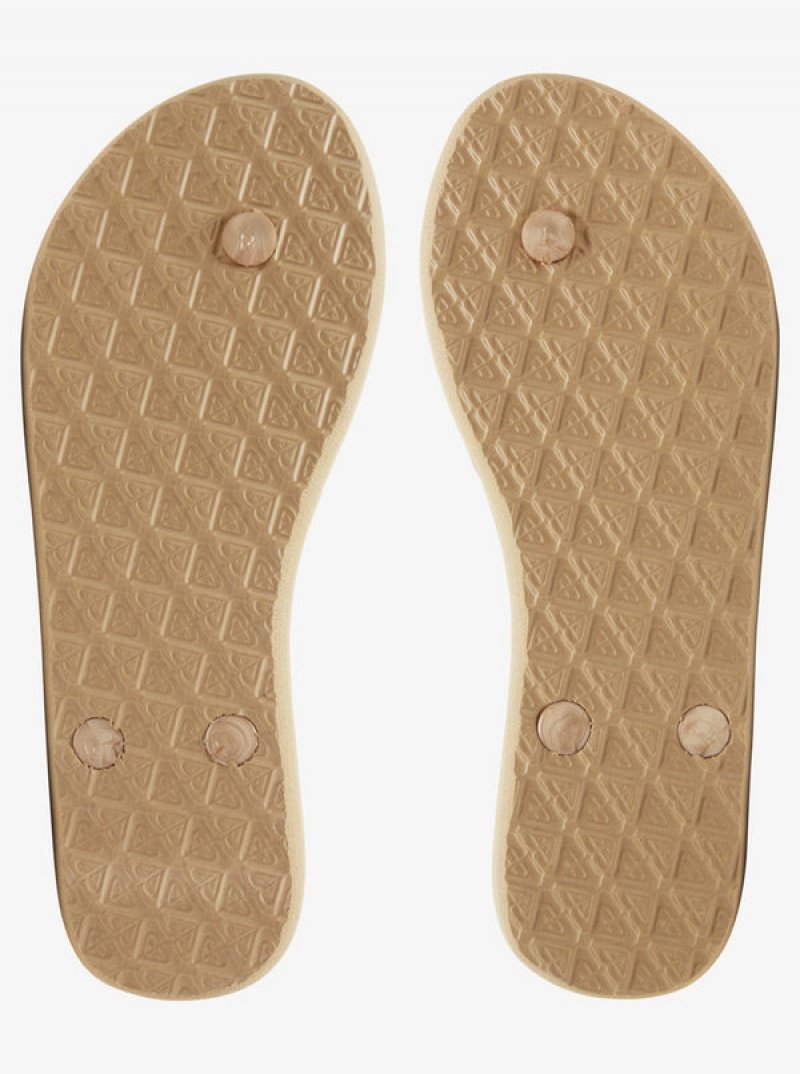 Roxy Viva Flip Flops | 07195-OEPJ