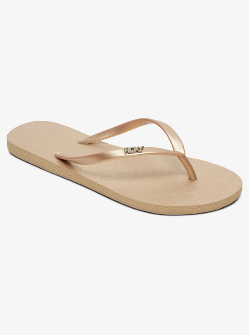 Roxy Viva Flip Flops | 07195-OEPJ