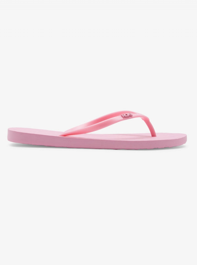 Roxy Viva Flip Flops | 85461-SUKN