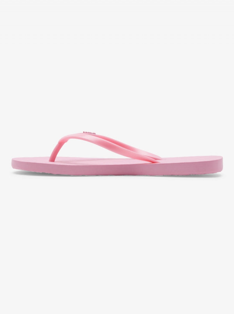 Roxy Viva Flip Flops | 85461-SUKN