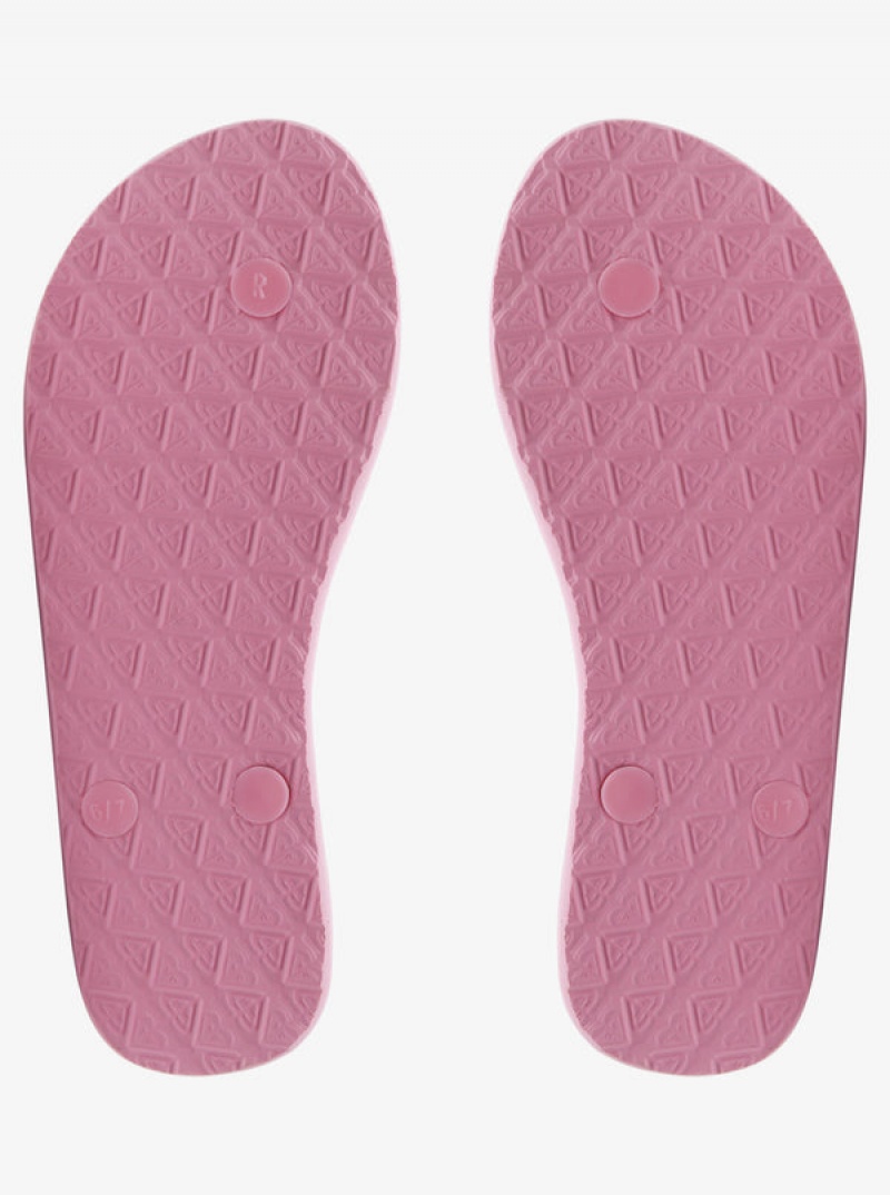 Roxy Viva Flip Flops | 85461-SUKN